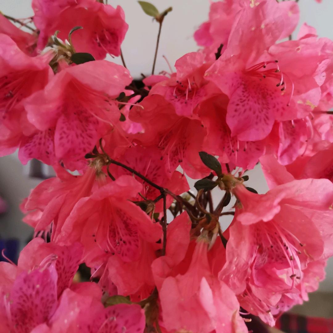 幸福在等你