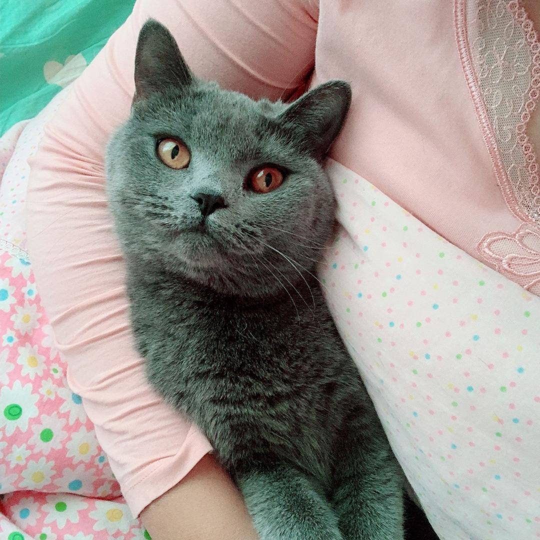 未来的未来