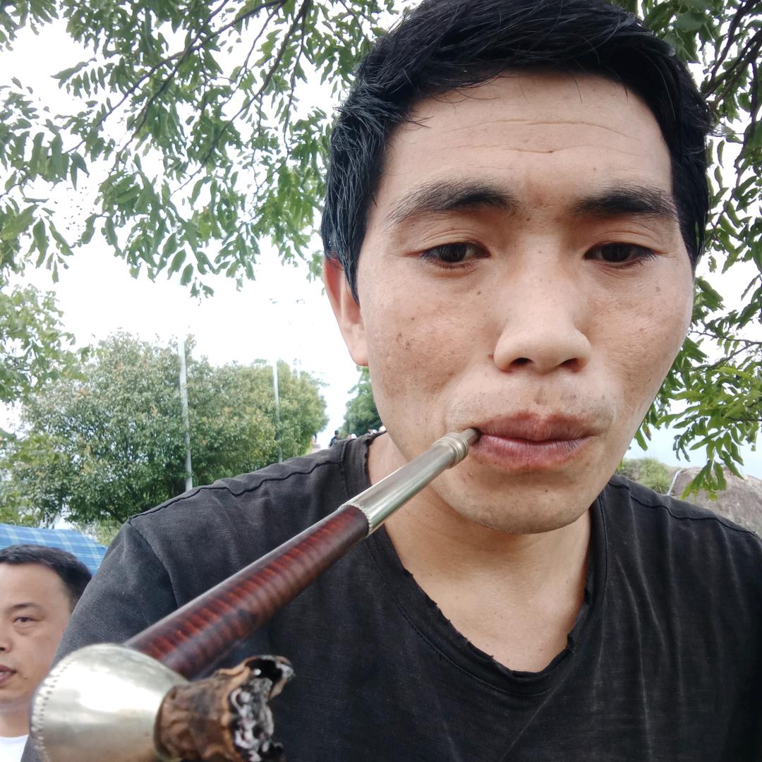 鸿哥