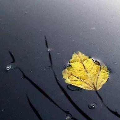 💔ꦿ໊余生᭄🕊随心᭄ꦿᩚ٭