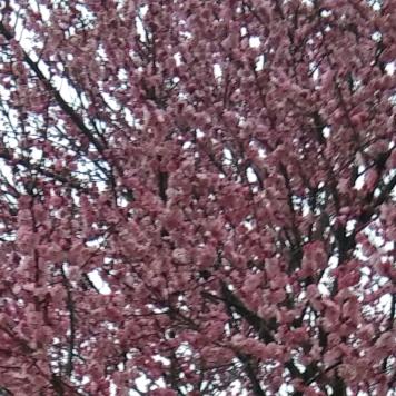 怎么开心怎么过。