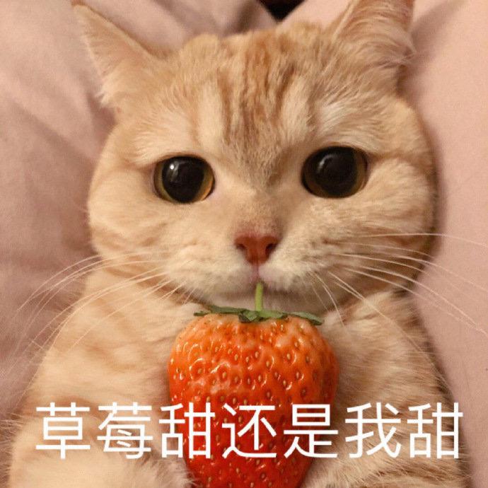 🌈🌈是你的宝吗（见过易烊千玺王源