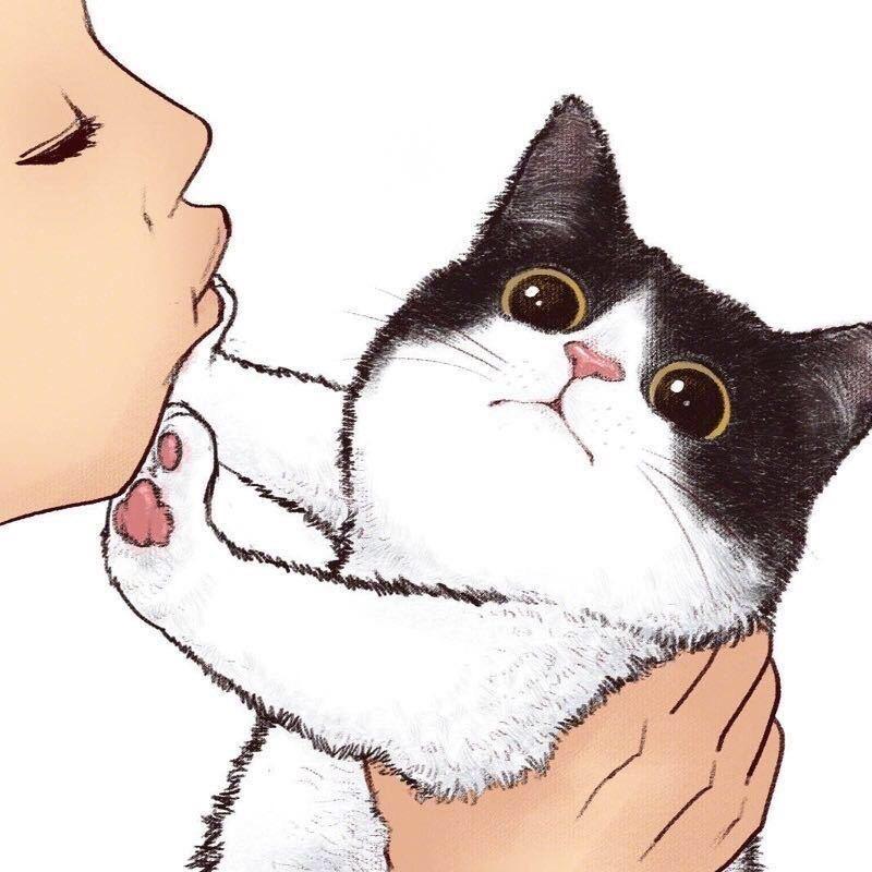 大脸猫咪🐱