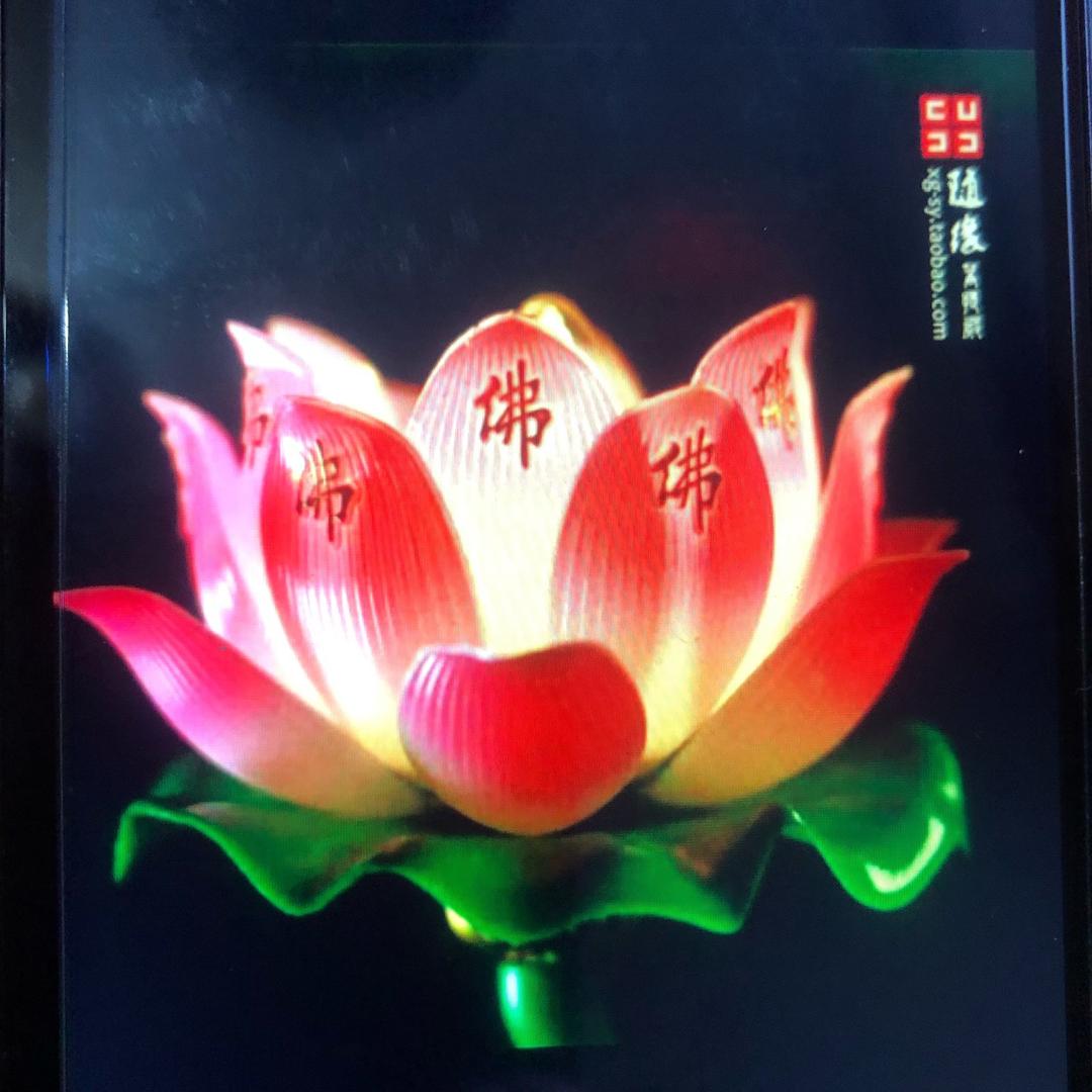 平安🙏快乐🐑