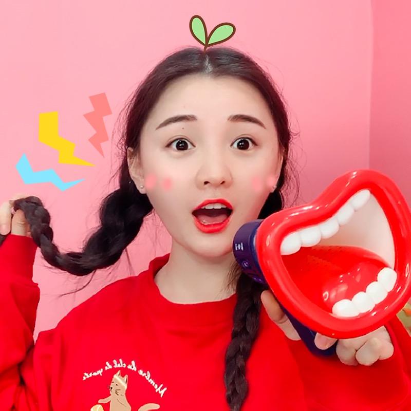 桂圆子