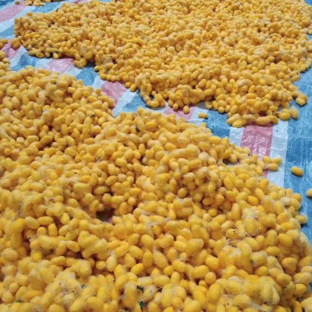 @一路有你陪伴666