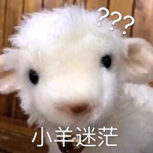 韩洋好剧
