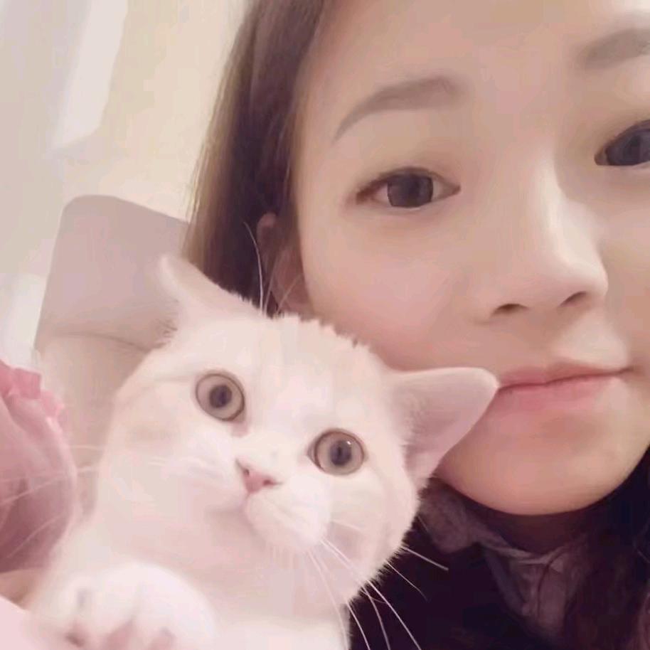 成都诺萌喵猫舍