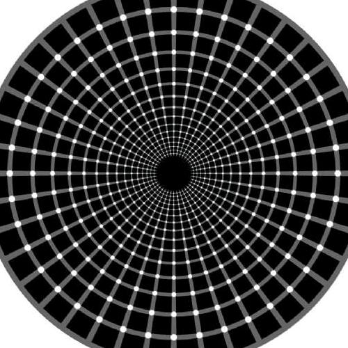 你的好朋友(≧∇≦)/