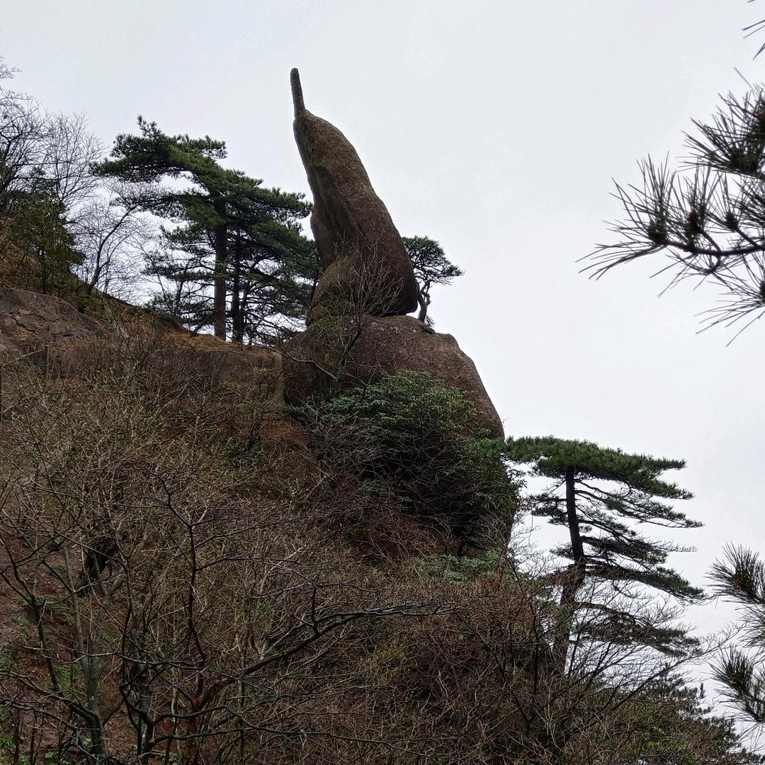 笑傲江湖