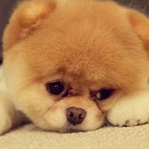 哆啦曾经不懂a梦