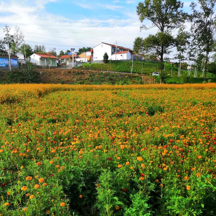 幸福美满《拒绝私聊》