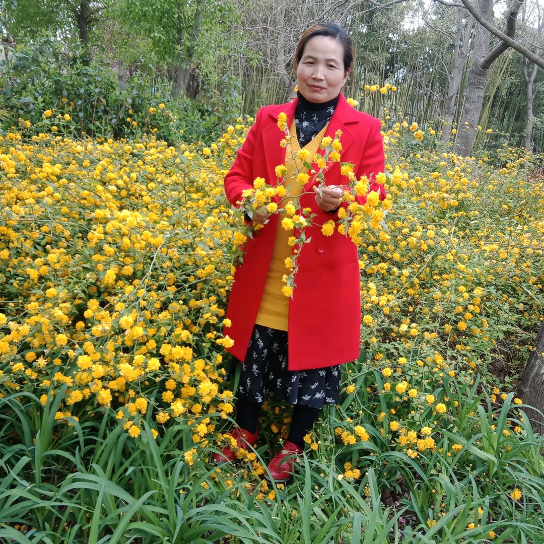 小许:长年批发生菜