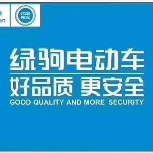 崇皇绿驹电动车