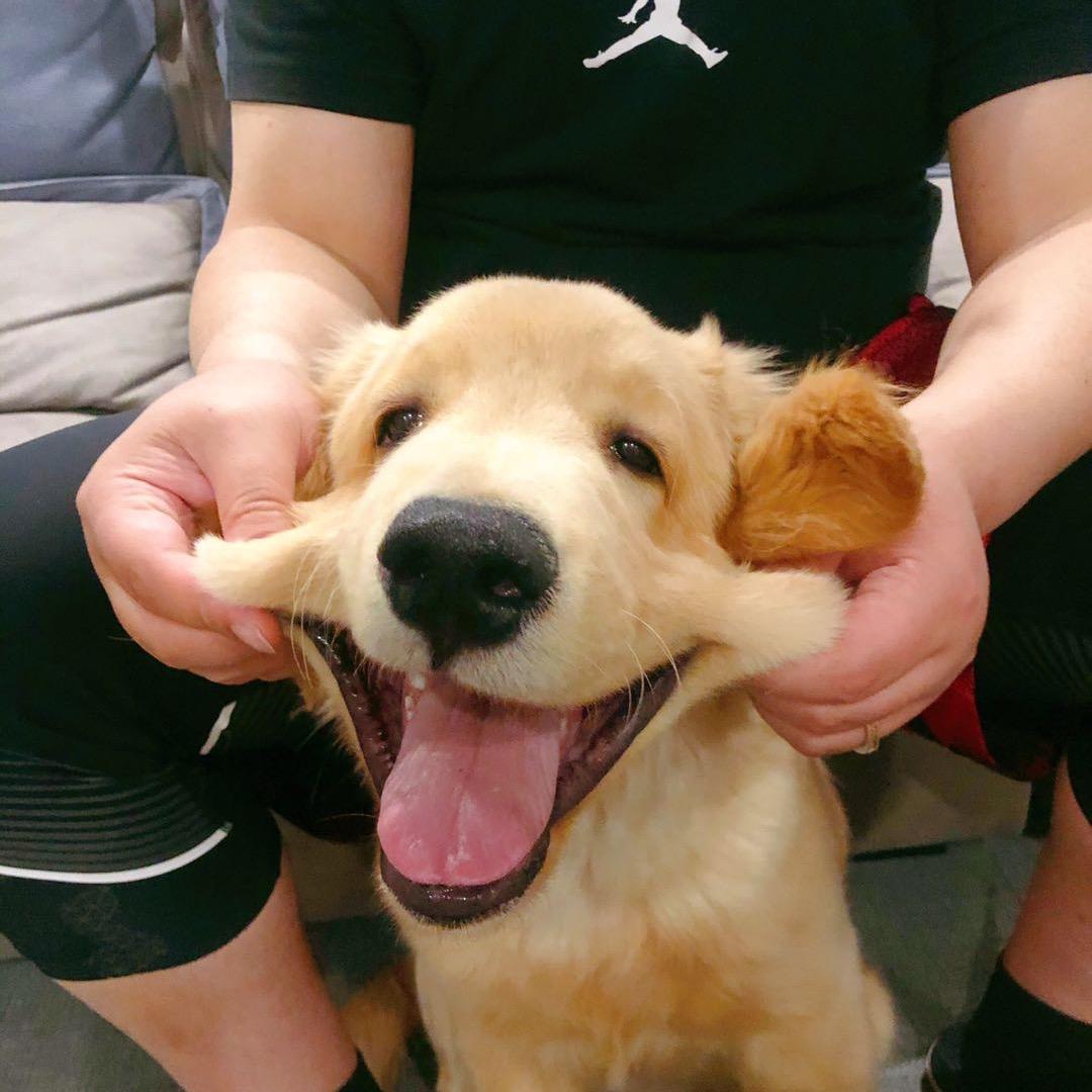 AJ粑粑