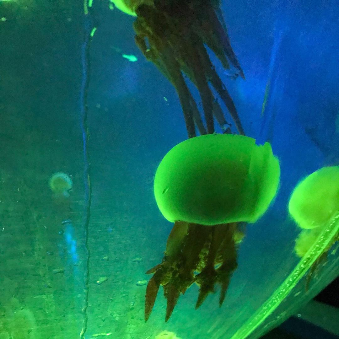 超