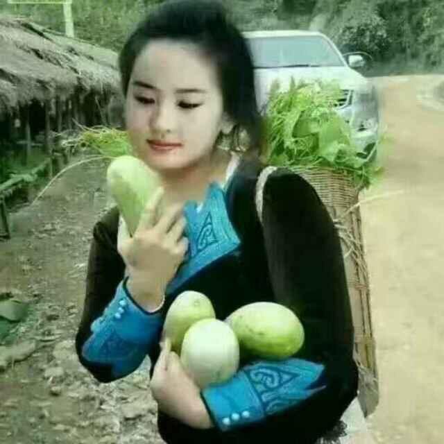 何艳