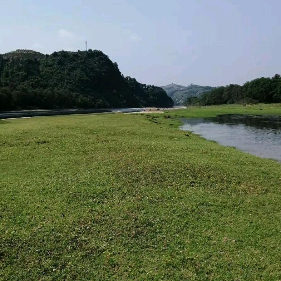 小雨