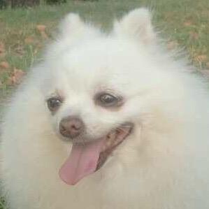 学习力提升训练