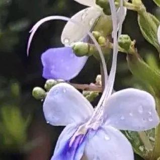 原来生活可以更美的