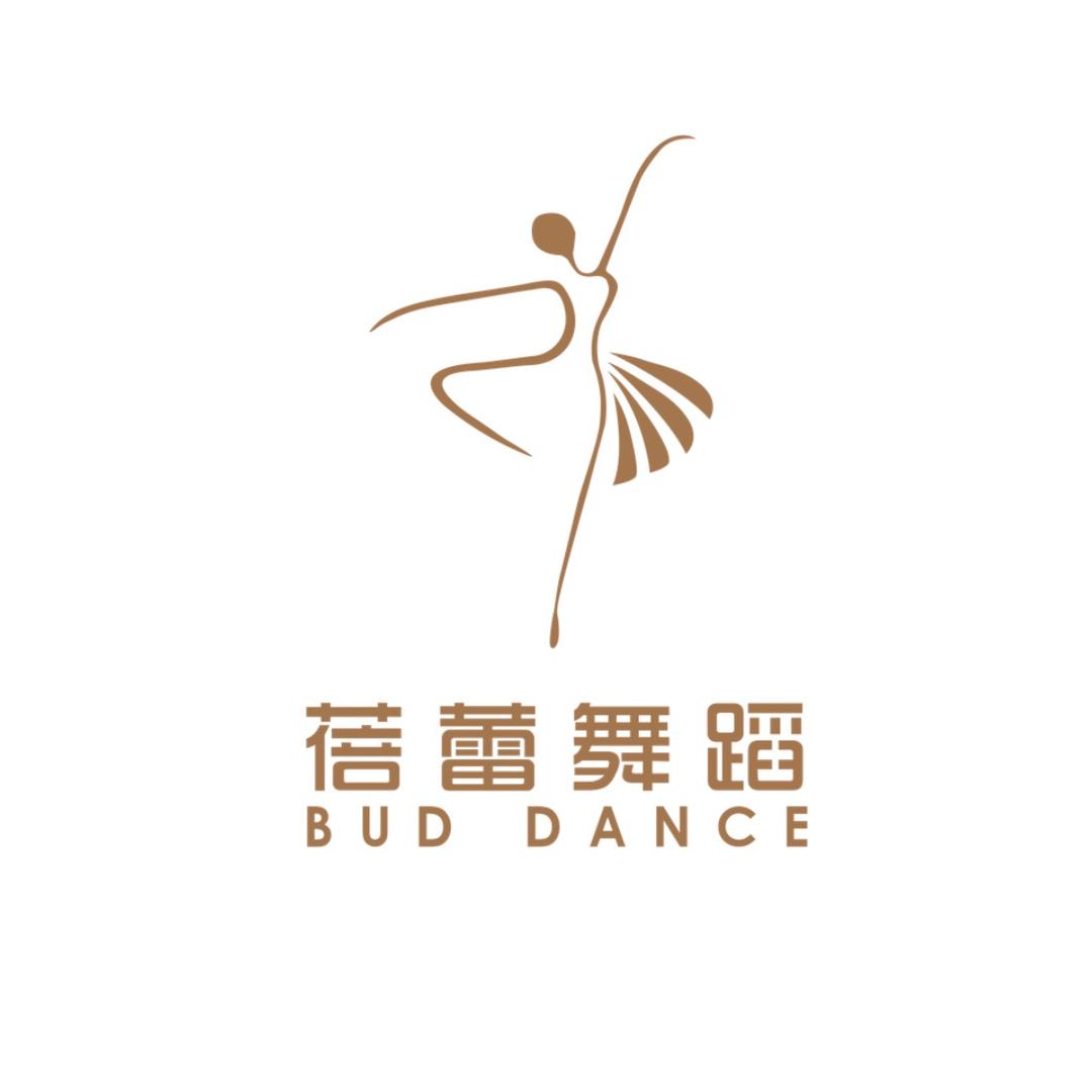 临汾蓓蕾舞蹈学校