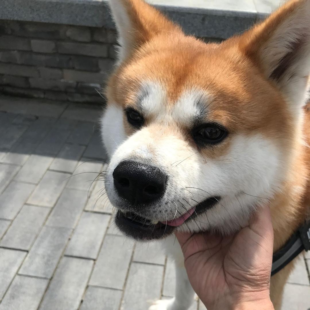 悟空