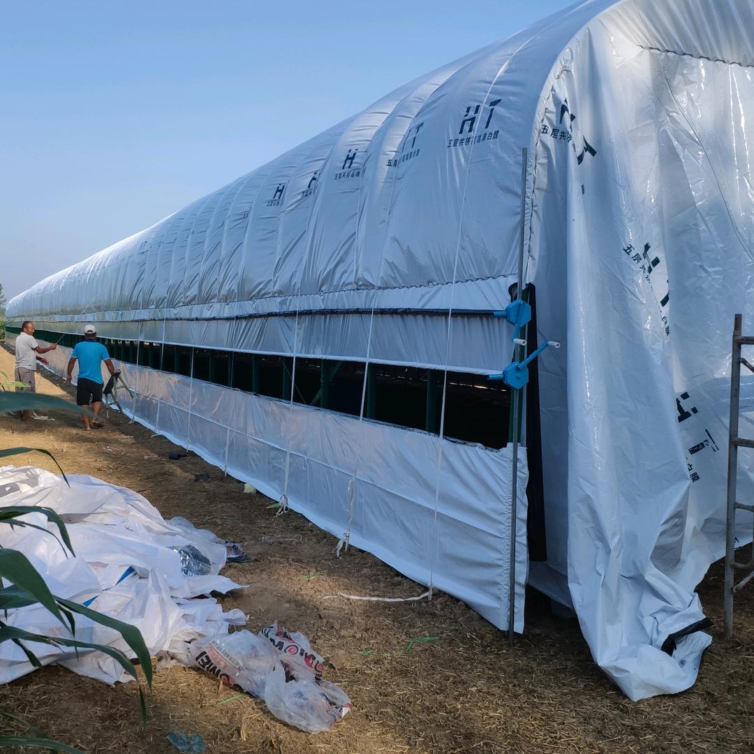 嘉齐热镀锌钢管大棚