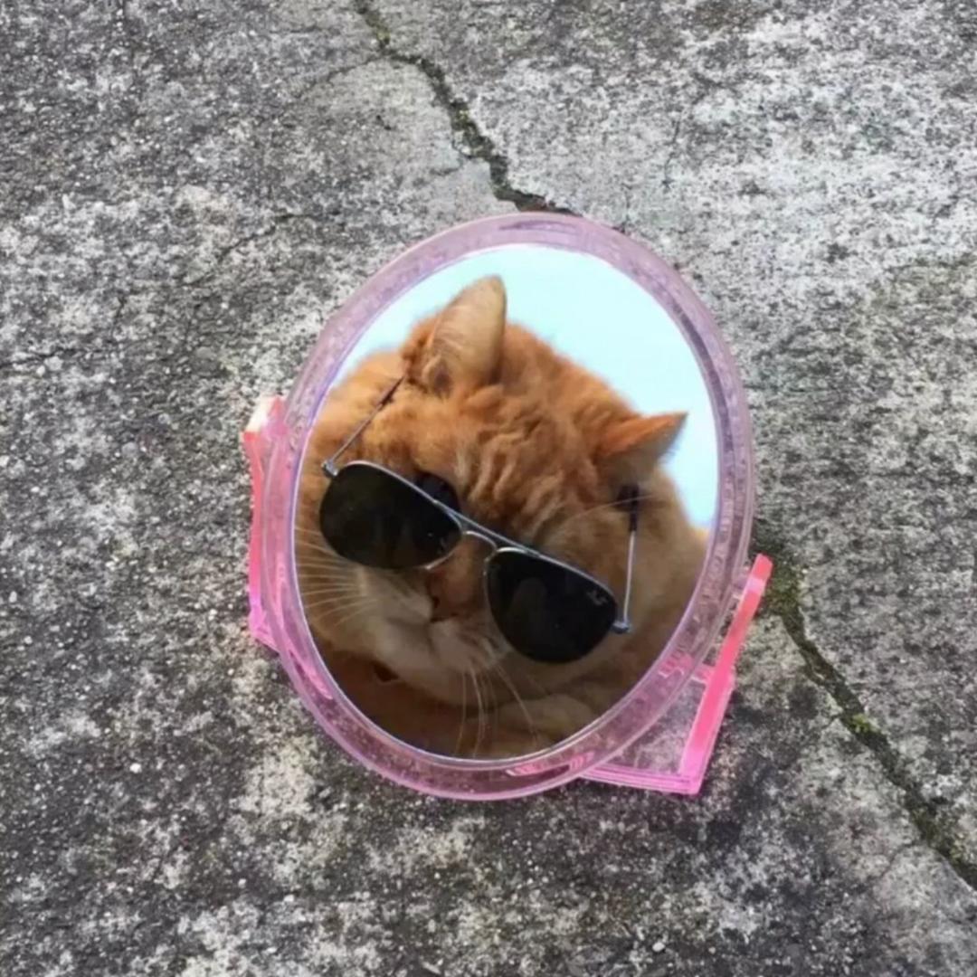 没事早点睡.