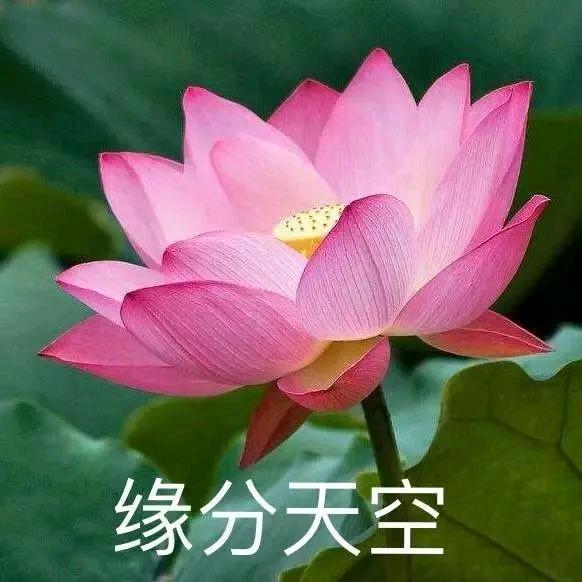 来锁