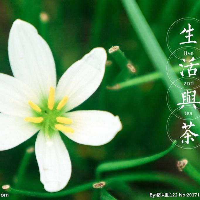 誓言之约