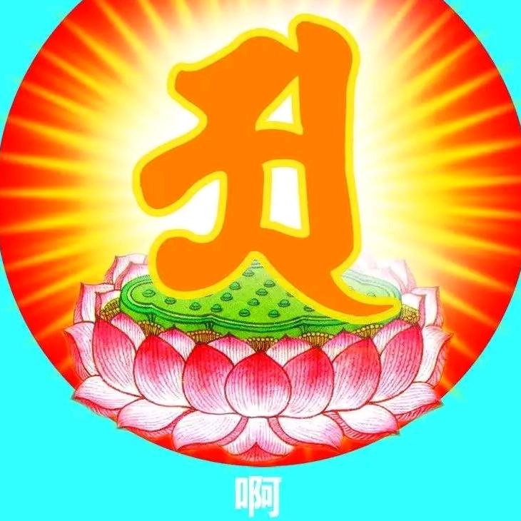 随缘闫姐