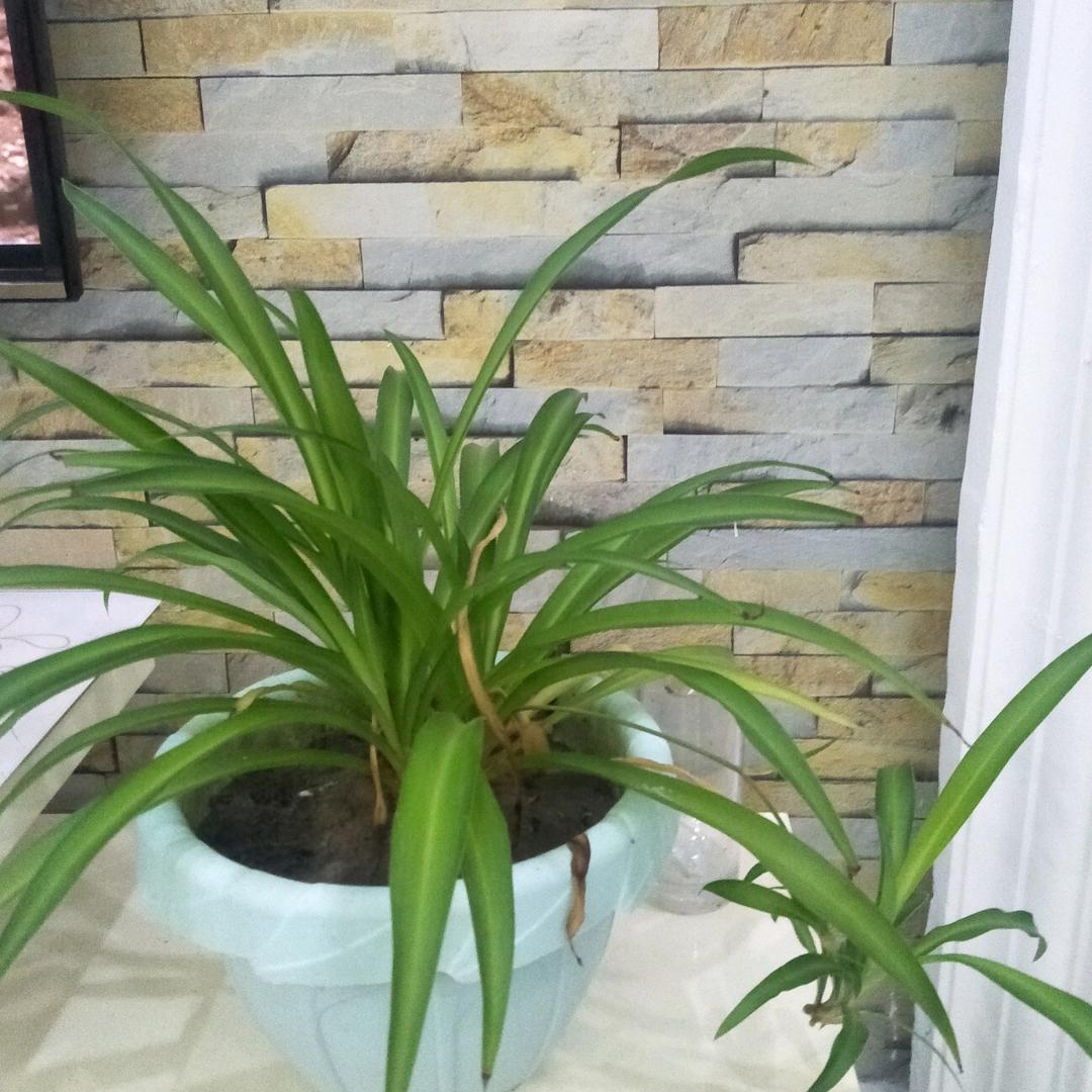 龚德荣