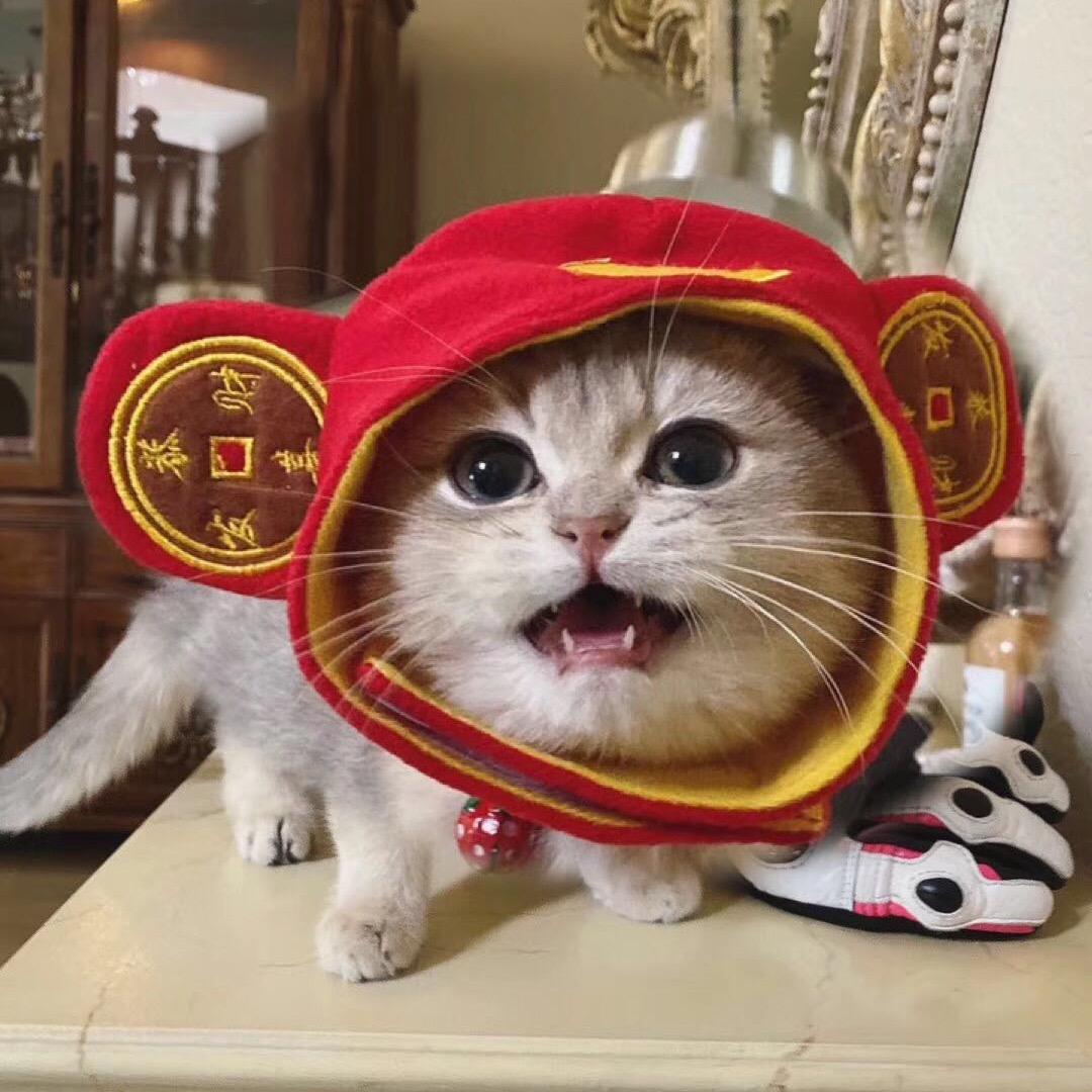 臭咪cash🤪