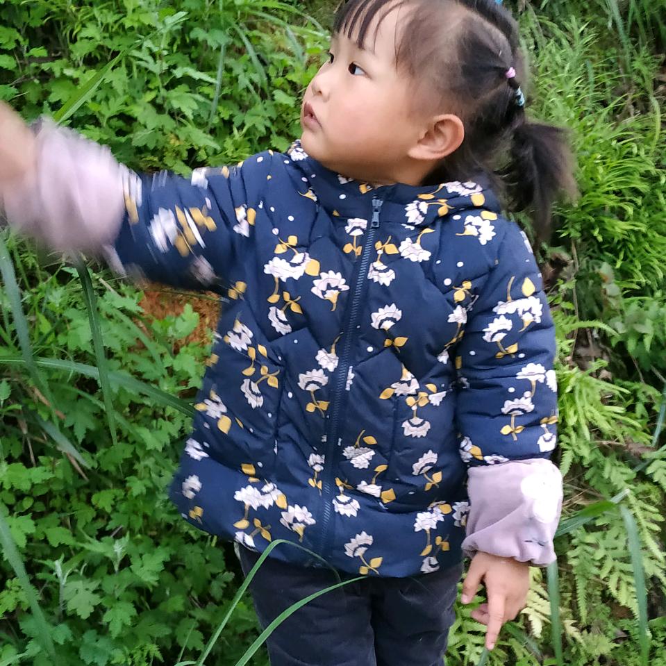 杨老师
