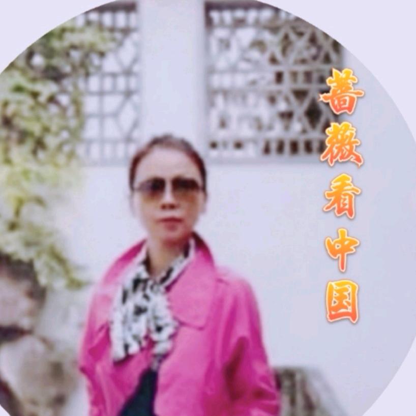 蔷薇看中国