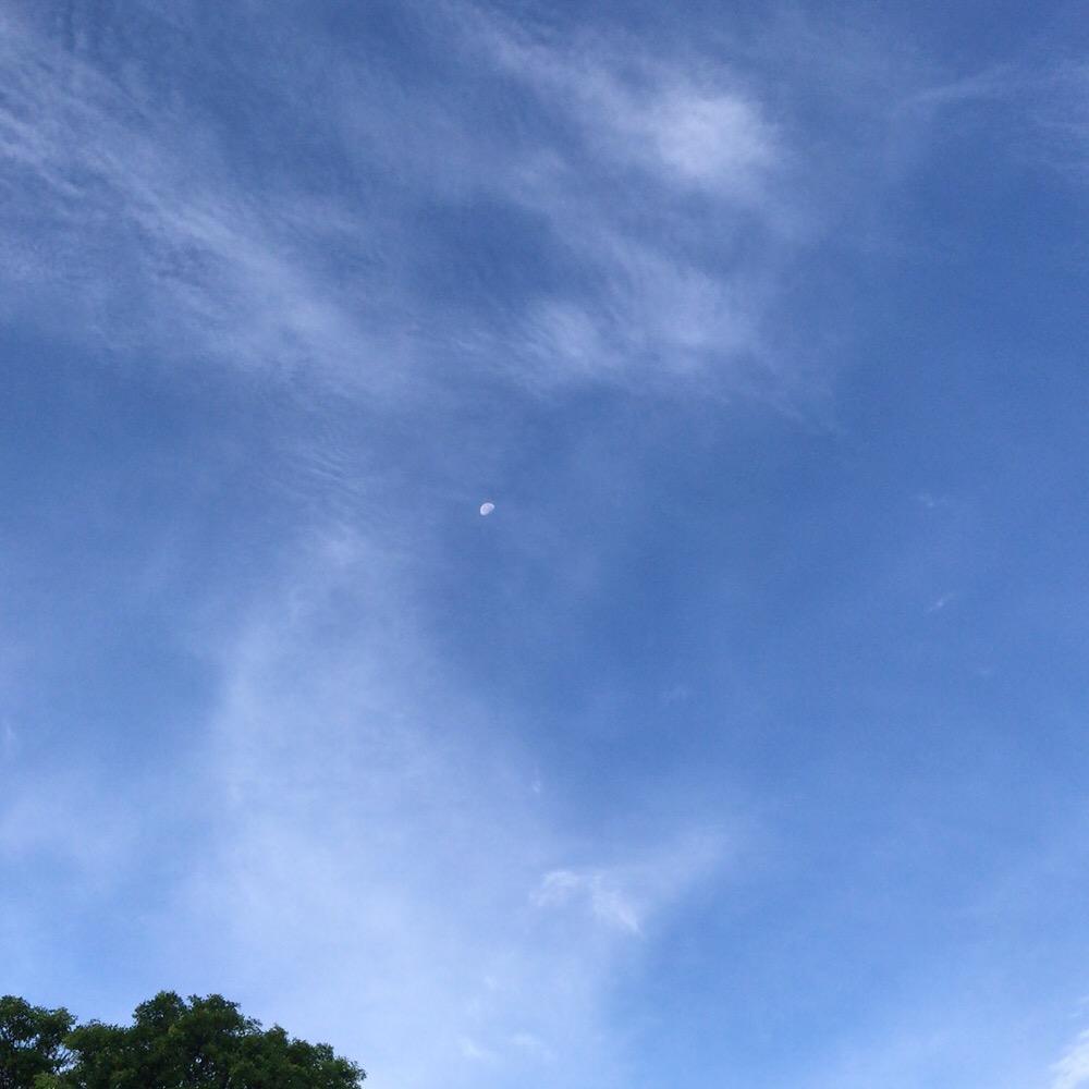 波澜不惊
