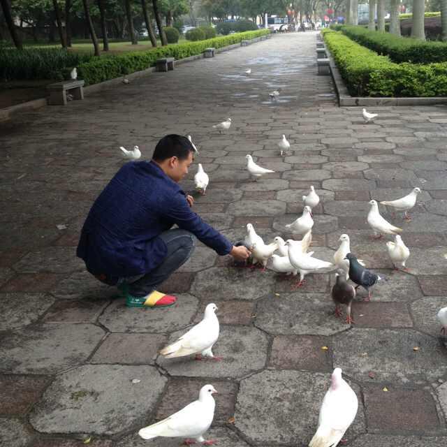 长沙卖日化老袁