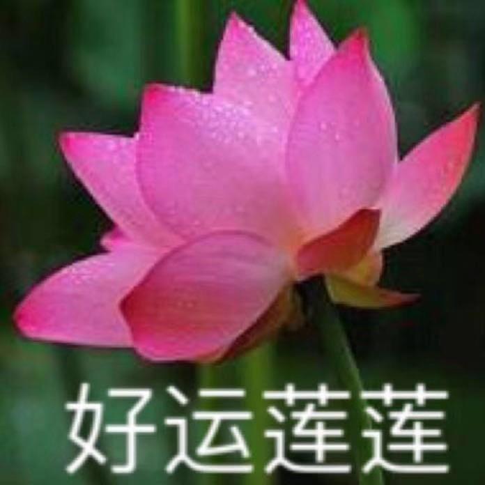宋粉兰