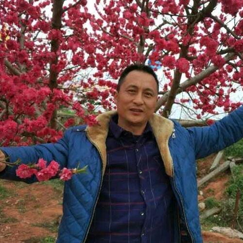 蔬菜水果一家亲