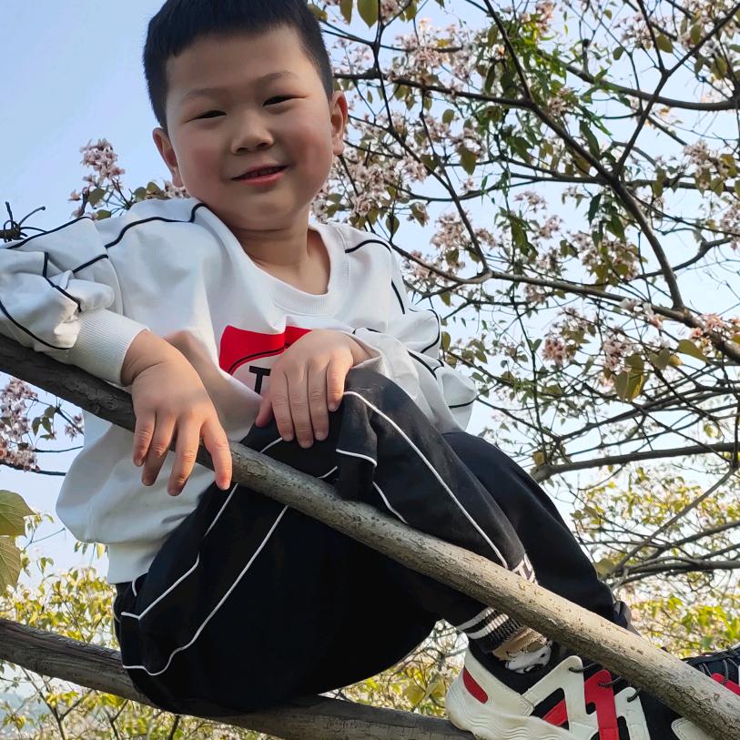 洋宝