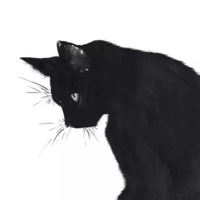 星空下的小猫
