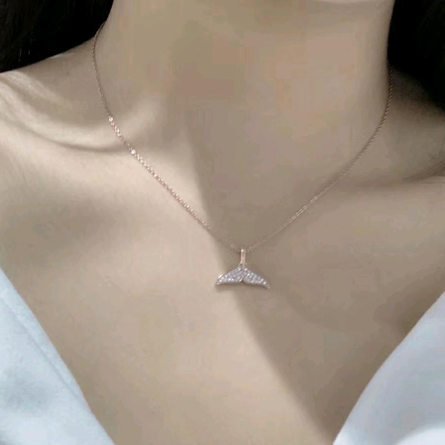 楠