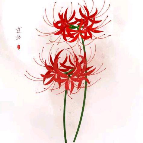 @彼岸花