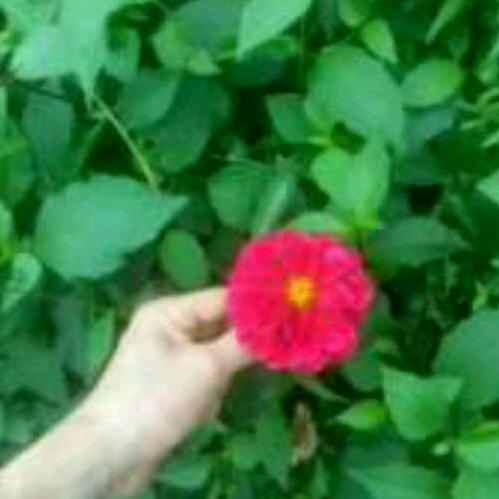 春风余，云阳上坝姓余