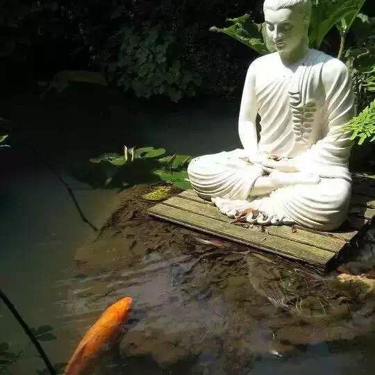 修行#觉悟