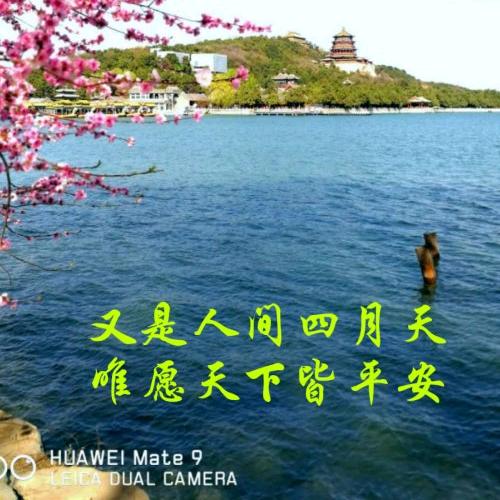 招財咪