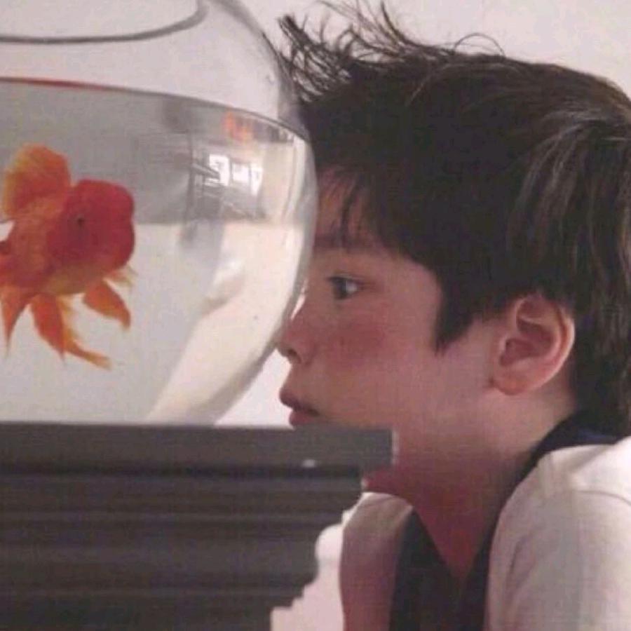 去码头整点薯条