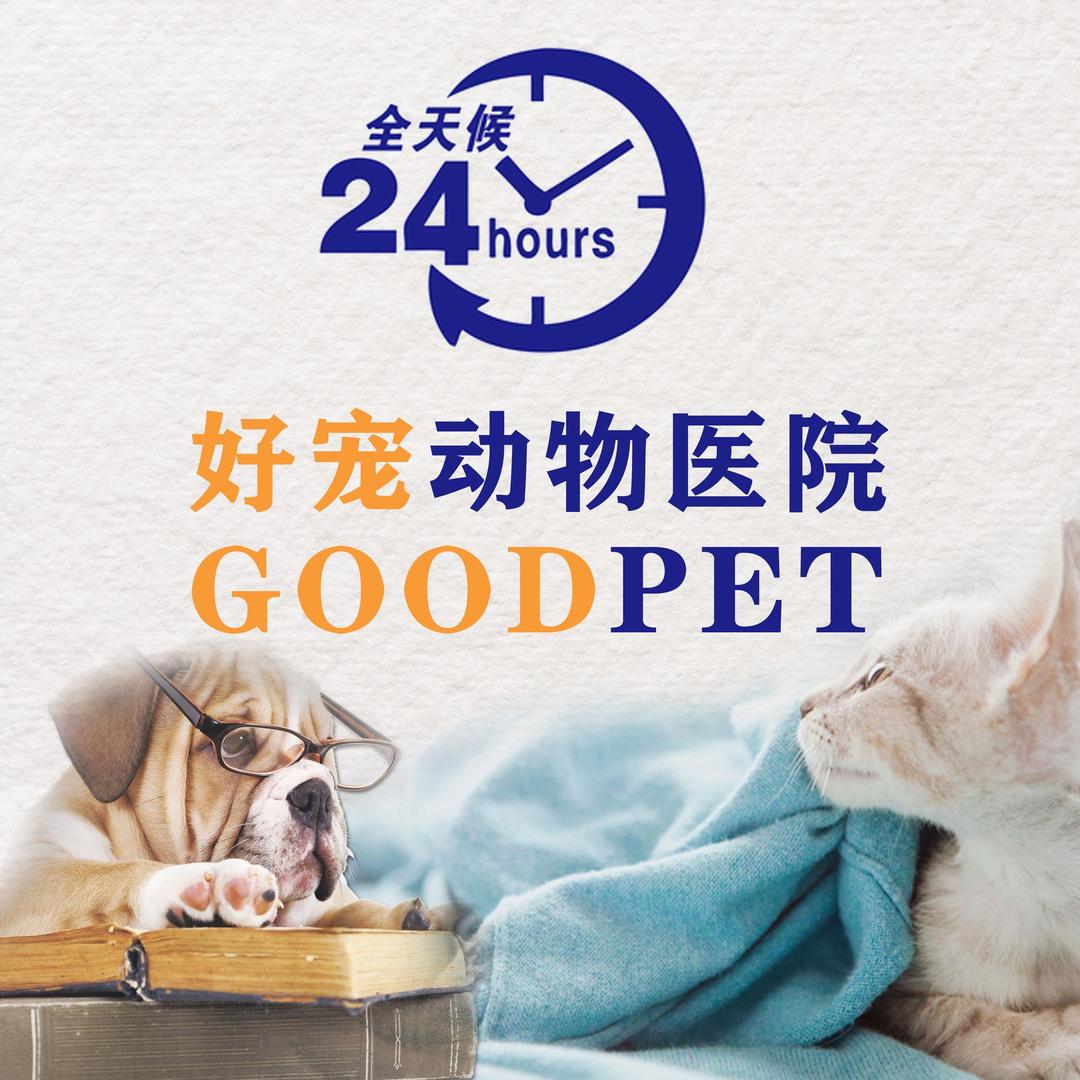 沈阳市皇姑区新好宠动物医院门市部