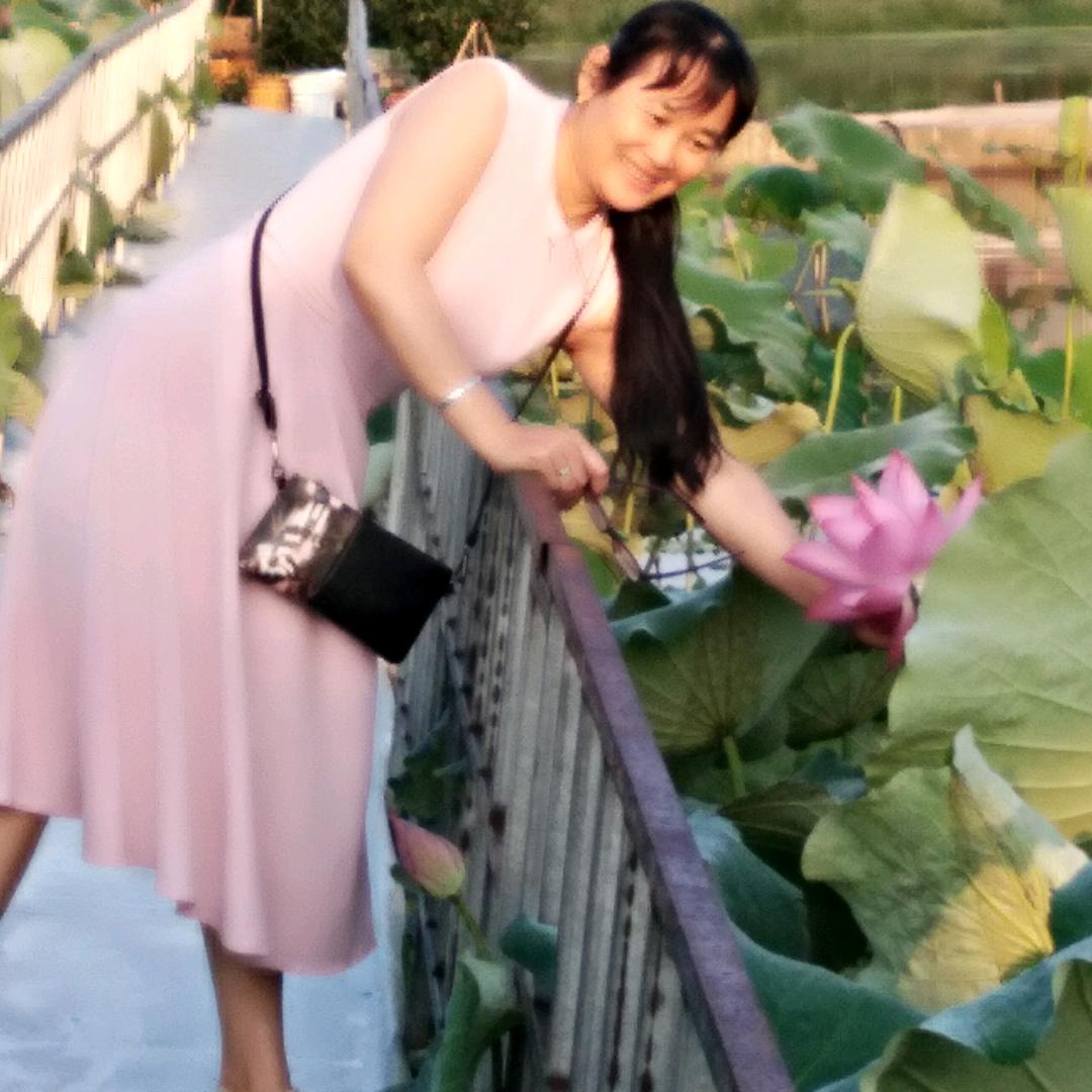 紫蔷薇