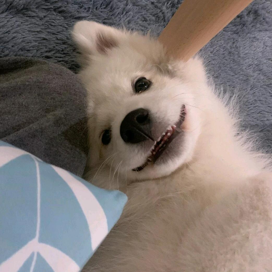 阿琛